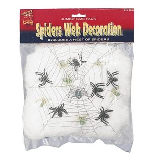 Spindelnät och spindlar -