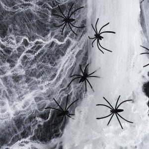 Spindelväv med Svarta Spindlar -